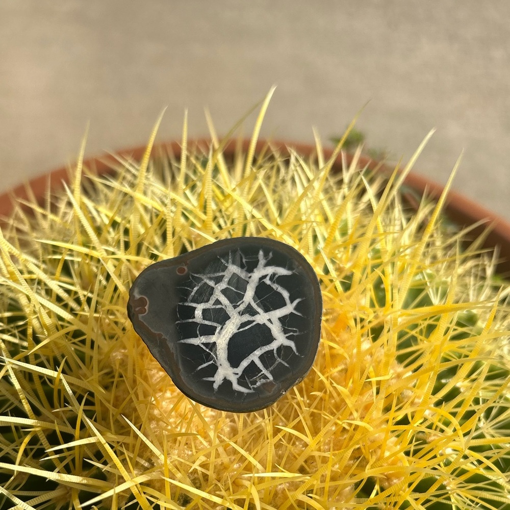 Septarian from Peru geode